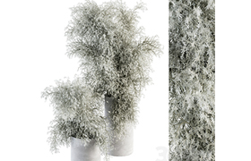 Bouquet - Green Branch in Concrete vase 79