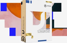 Arturia V Collection Pro