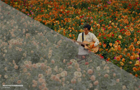 Loris Marie - Negative Powergrade for Davinci