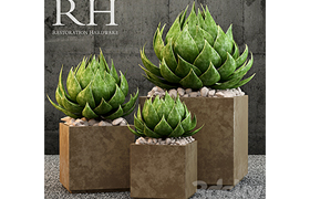 Restoration Hardware metera planter
