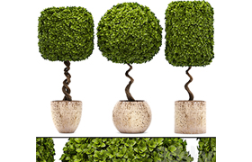 Collection of plants garden trees, landscaping, flowerpot