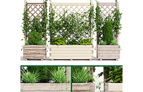 Planter with lattice