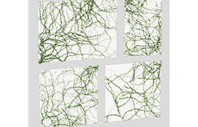 Ivy for the ceiling 4 models