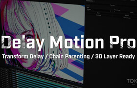 Delay Motion Pro