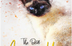 The Best Aquarelle In Honor Of The Artist's Dream (EPUB) - book