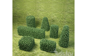 Bushes the second pack