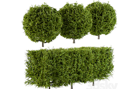 Needle Bush Shape (Cube and Globe)