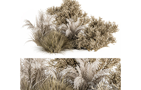 Dried Wild Plants Bush - Bush Set 36