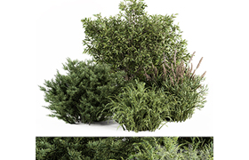 Mixed Plant Bush - Bush Set 37