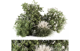 Mixed Plant Bush - Bush Set 49