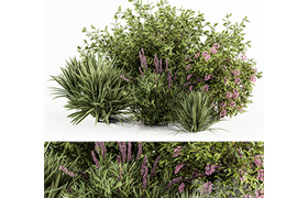 Mixed Plant Bush Green and Purple - Bush Set 50