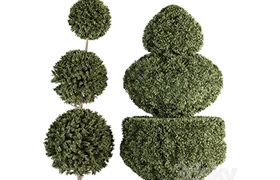 Topiary shape Bush - Bush Set 65