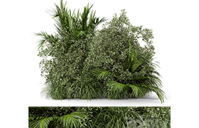 Outdoor Plants Bush-Bush Set 446