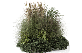 Outdoor Plants Bush-Bush Set 1644