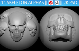 Artstation - 14 Skeleton Alphas Vol.2 (ZBrush, Substance, 2K) - 笔刷