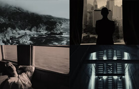GradeFruit - Tinted Black and White LUTs & LR Presets - lut