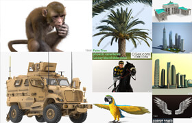 Turbosquid 3D Models Collection 1 Feb 2026