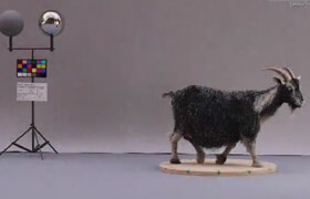 The Gnomon Workshop - Vellum Hair Simulation in Houdini