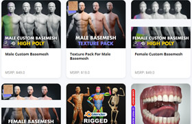 Flipped Normals - Ultimate Character Basemesh & Anatomy FlipBox - 模型