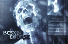 Payhip - BCSXBD Course and Asset Bundle