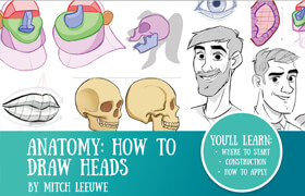 Anatomy How to Draw the Heads (PDF) - book