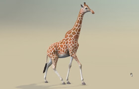 Sanet - How to Animate a Giraffe Walk Cycle in Maya