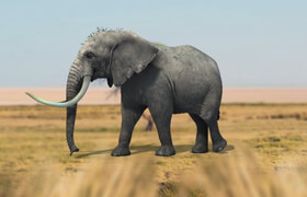 How to Animate an Elephant Walk Cycle in Maya