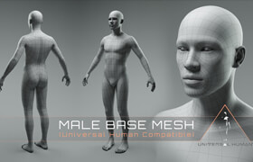 Universal Human - Male Base Mesh
