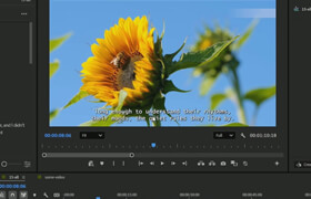 Udemy - Adobe Premiere Pro 2026 AI Tools & Video Editing