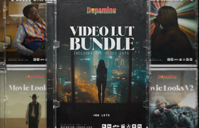 Dopamine Frame - The Complete LUT Bundle - lut