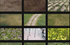 Graswald Library + Gscatter All Formats