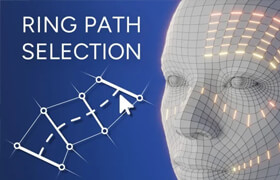 Ring Path Selection