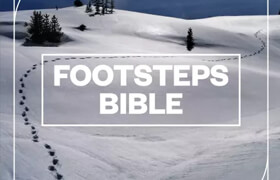 Blastwave FX - Footsteps Bible (WAV) - 声音素材