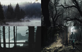 GradeFruit - Dark Forest LUTs & LR Presets - lut