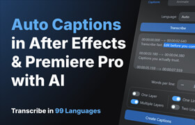 Voice2Captions