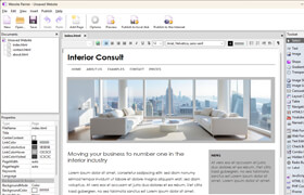 Ambiera WebsitePainter